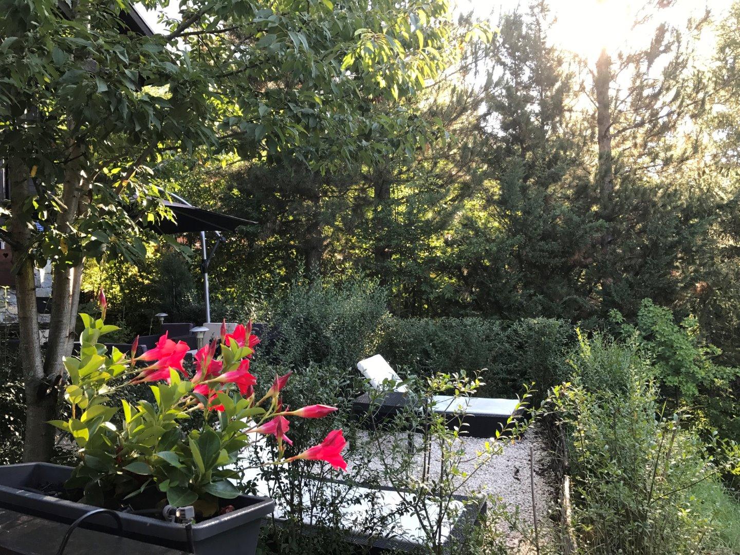 LES AUPILLOUS ; sauna, spa, balnéo, vue imprenable, salle de cinéma, terrain de pétanque privé et babyfoot !