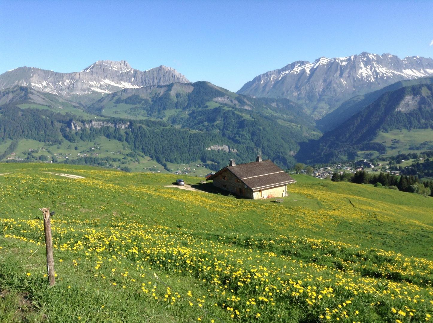 L'Alpage de CRESTERA, ESPACE DIAMANT, appartement MONT BLANC