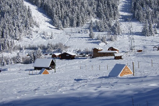 le Clos des Gentianes