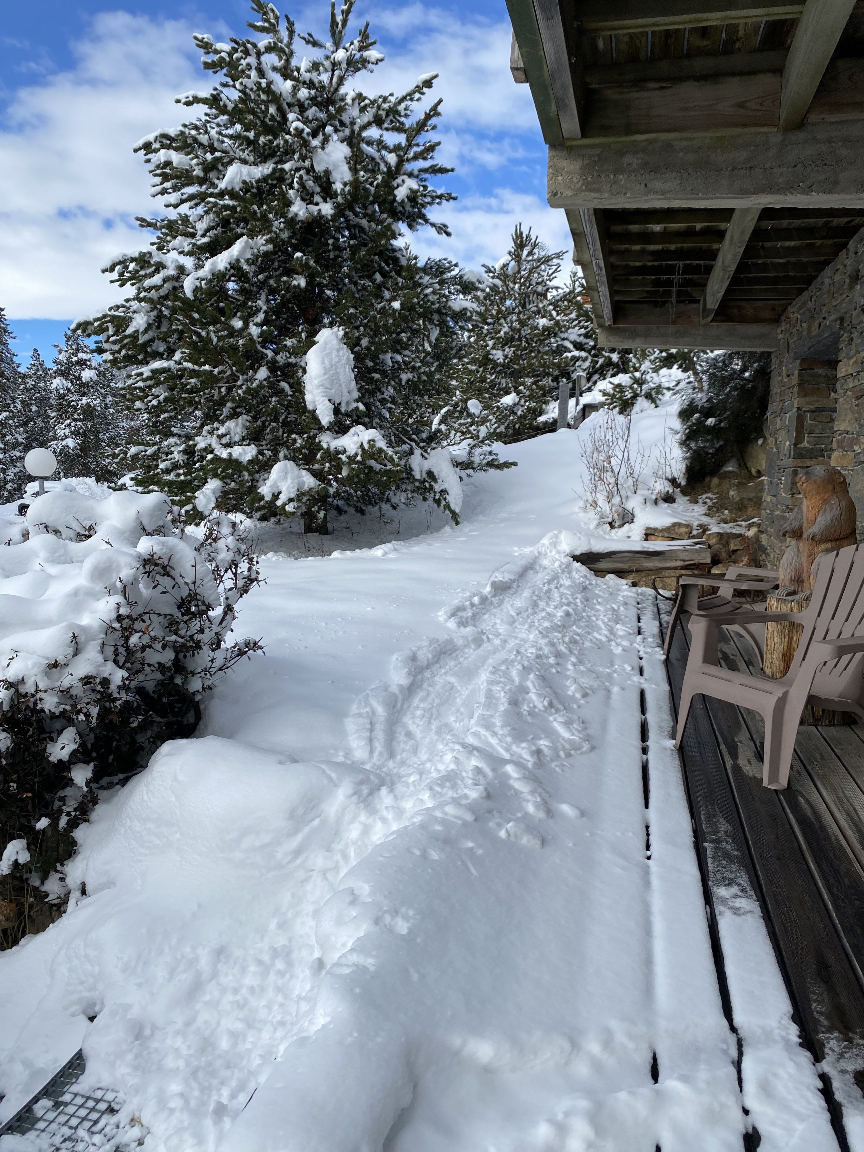 Chalet de charme à 500 m des pistes