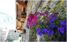 CHALET LA TUILIERE 5 étoiles  sauna 5 chambres