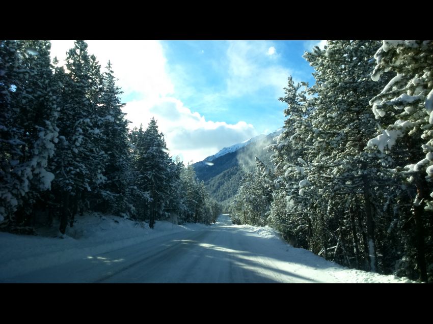 LES THURES Très joli appartement cosy