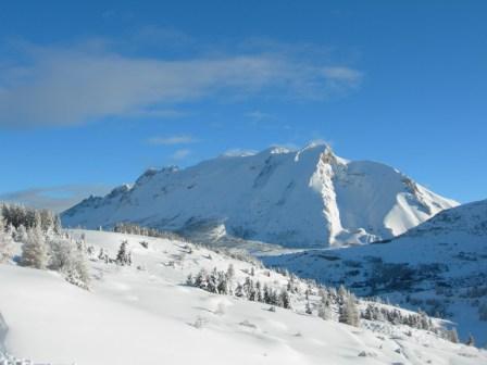 LES CHALETS DE SUPERD