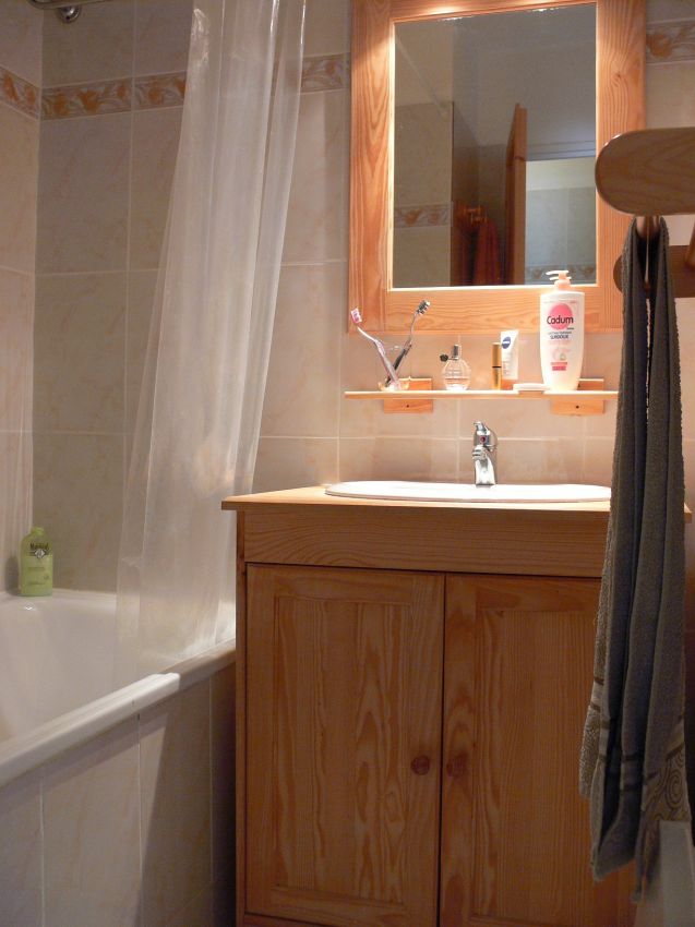 Les Portes de la Vanoise, N° 203C