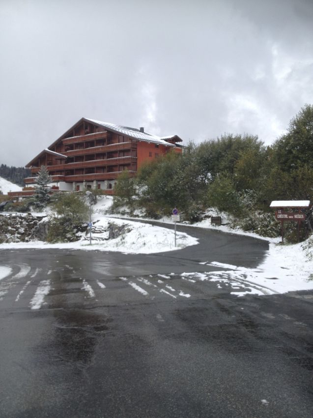 LE  CRISTAL DES NEIGES