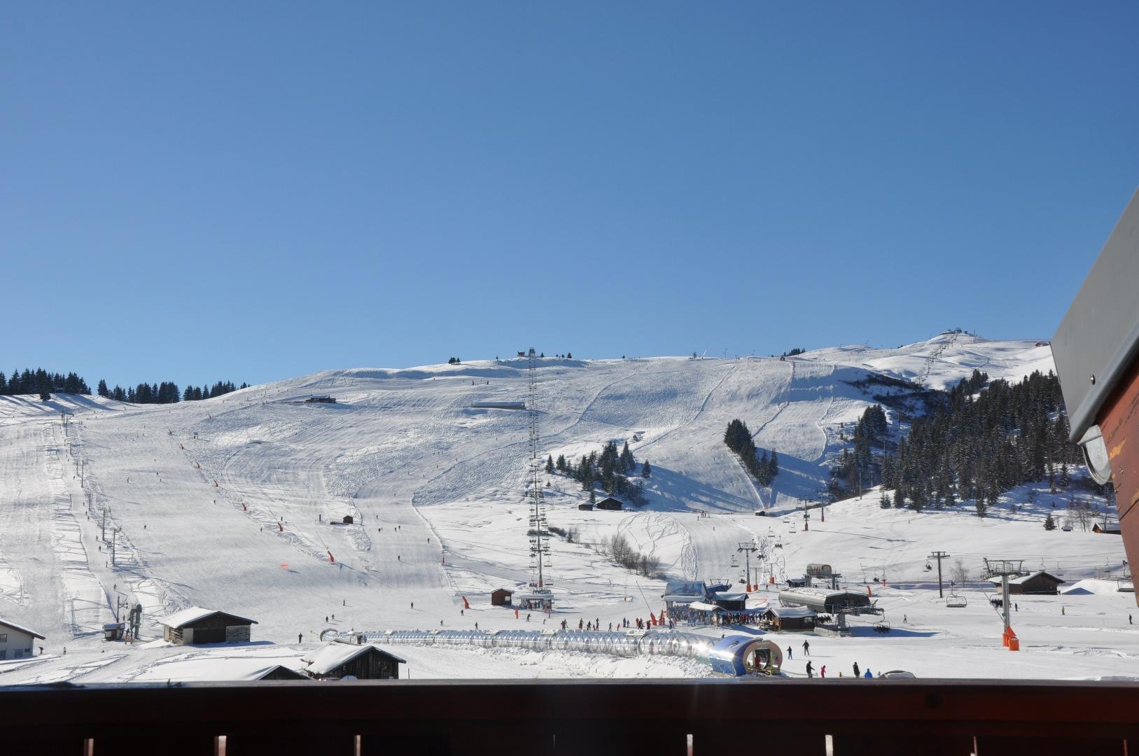 LE  CRISTAL DES NEIGES