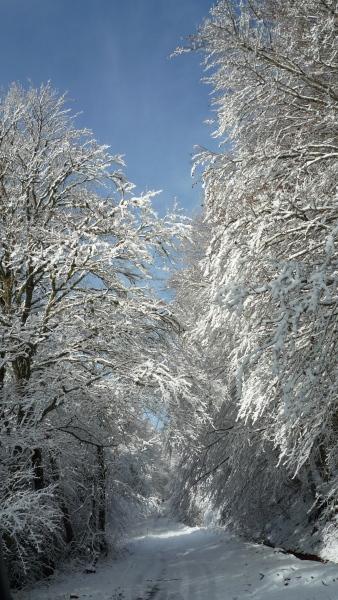 Naturessime Eco Village & Spa