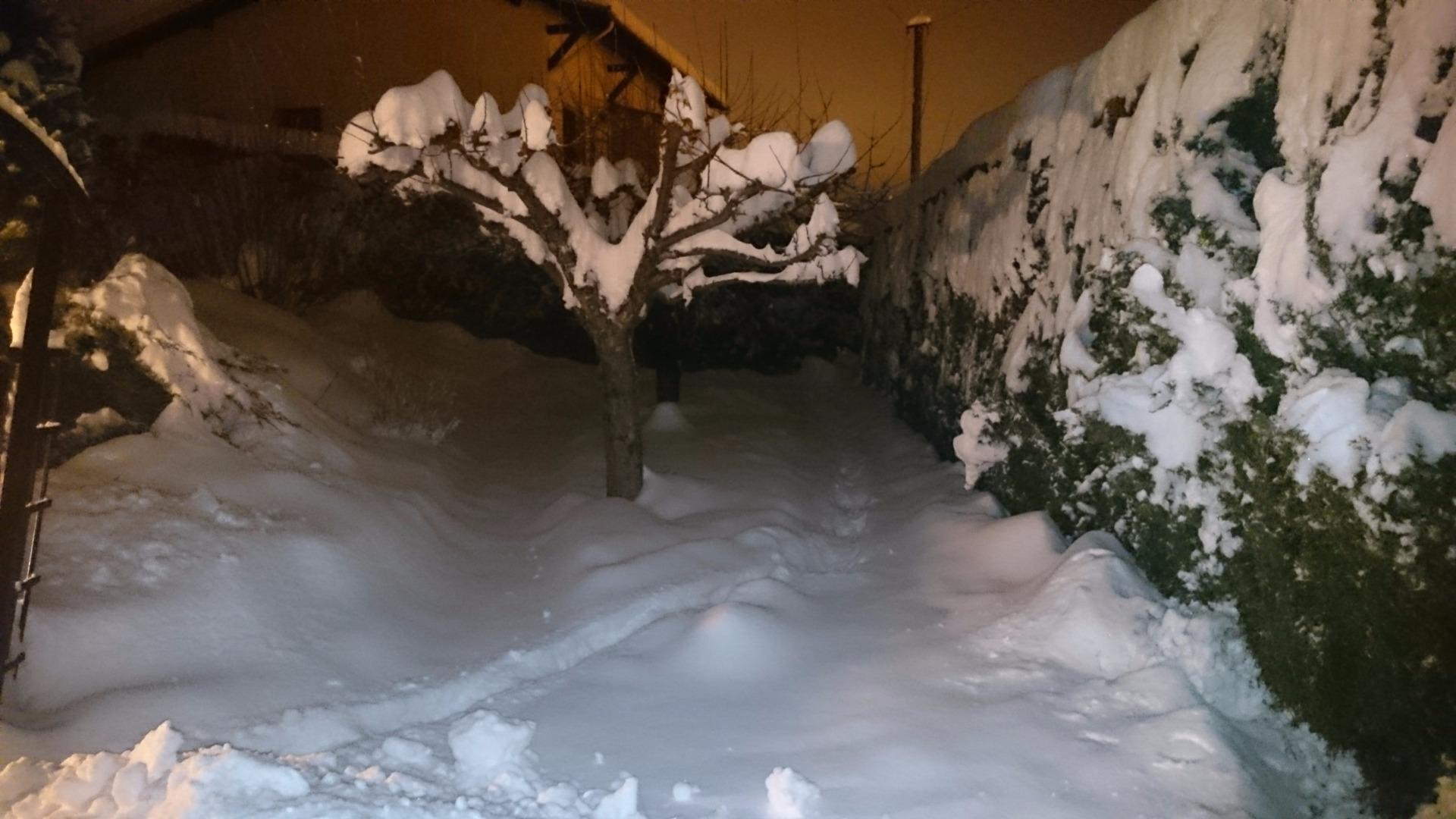 en rez de jardin le Prorel - décoration soignée - exposition Sud
