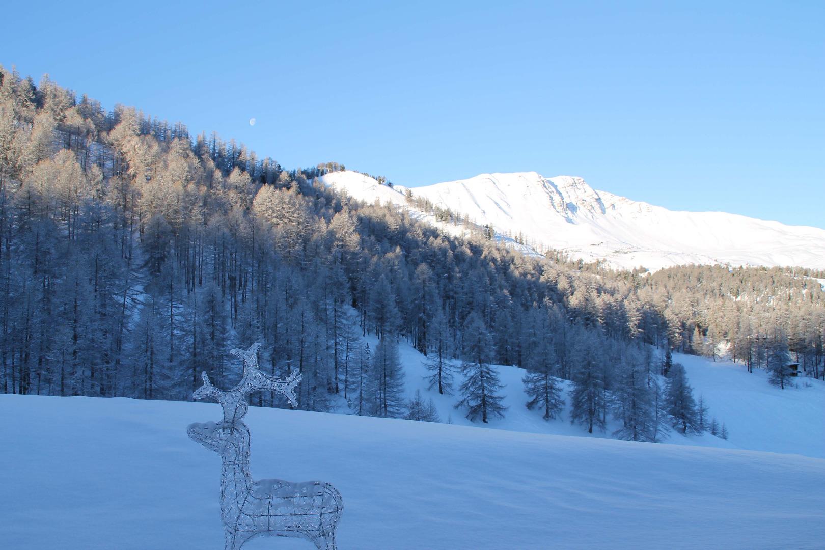 CHALET DE CARACTERE, PIEDS DES PISTES,  8 PERS MAX