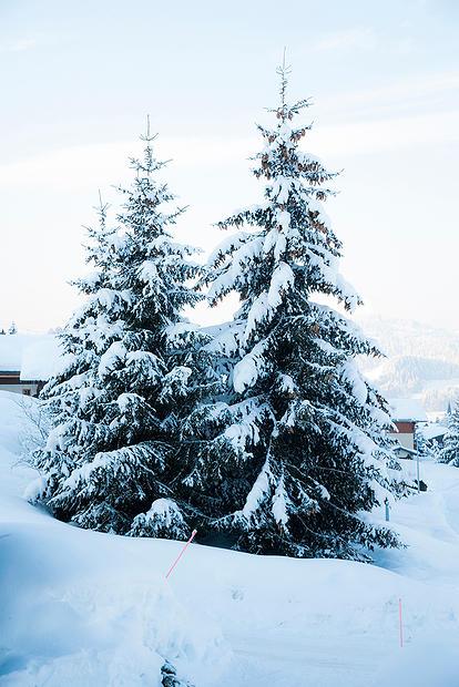 Superbe Chalet traditionnel l'Hermine