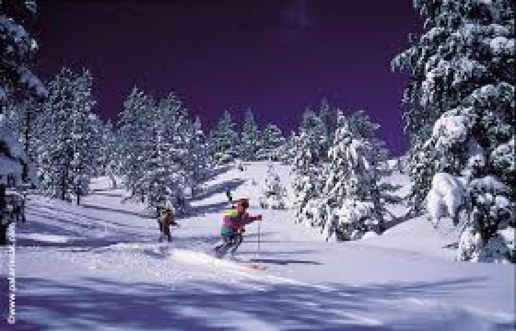 Chalet Montagne 6/8 pers a 250m des telecabines