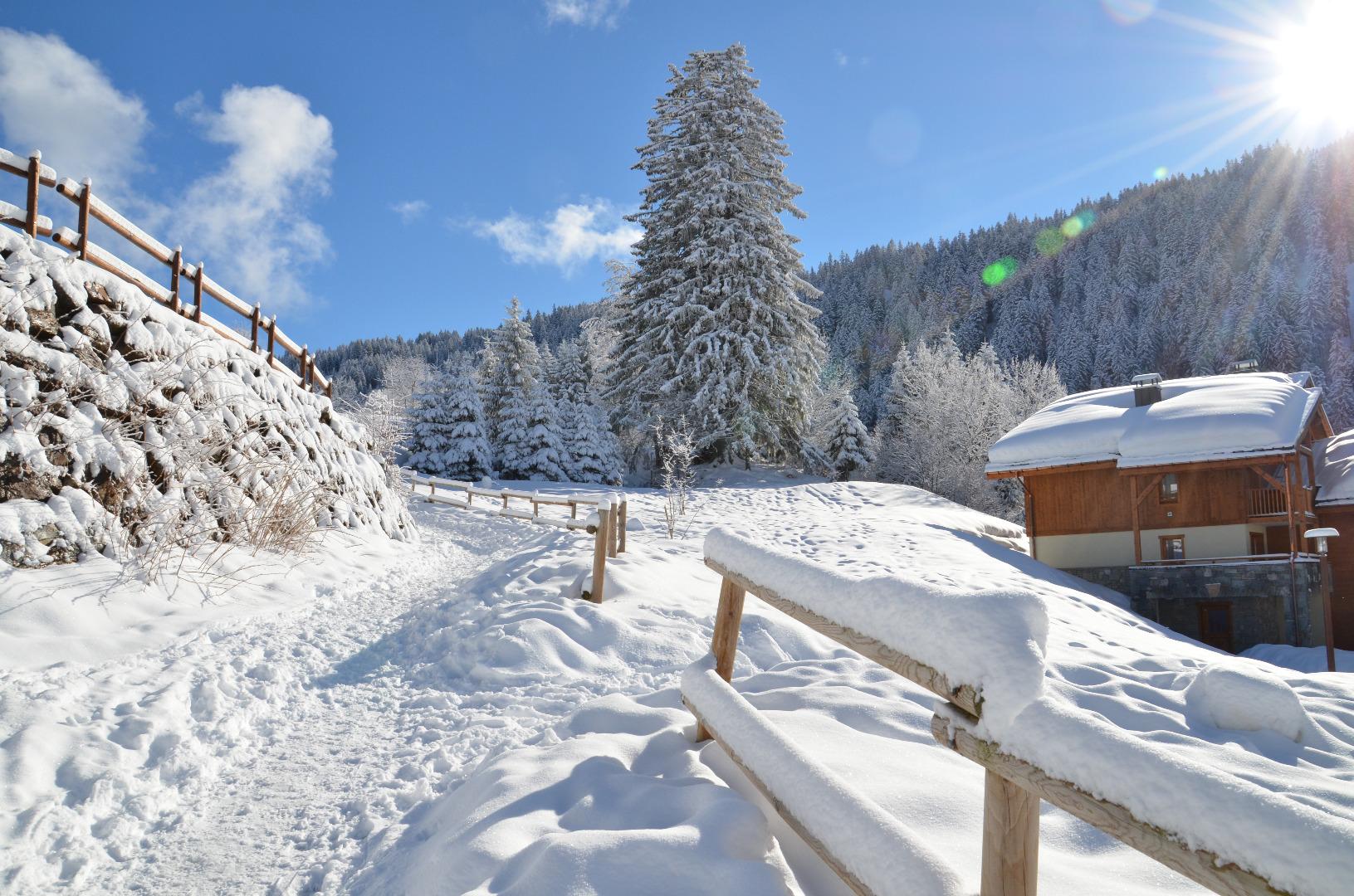 Les Oursons - Appartement familial 6+ personnes - Piscine - 250m des pistes