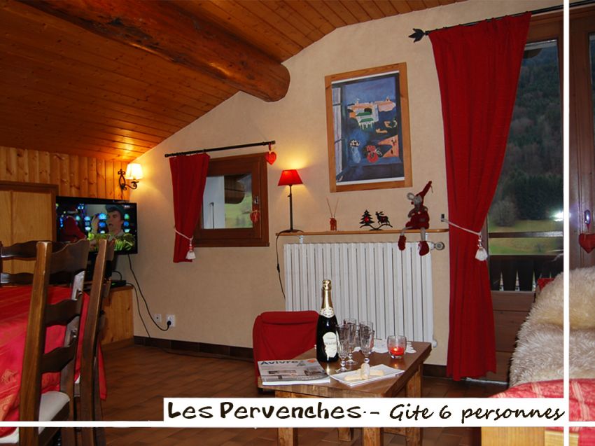 Salle de séjour avec un canapé lit gigogne (2 couchages de 80cm), TV écran plat, lecteur DVD, wifi, chaine hifi. 