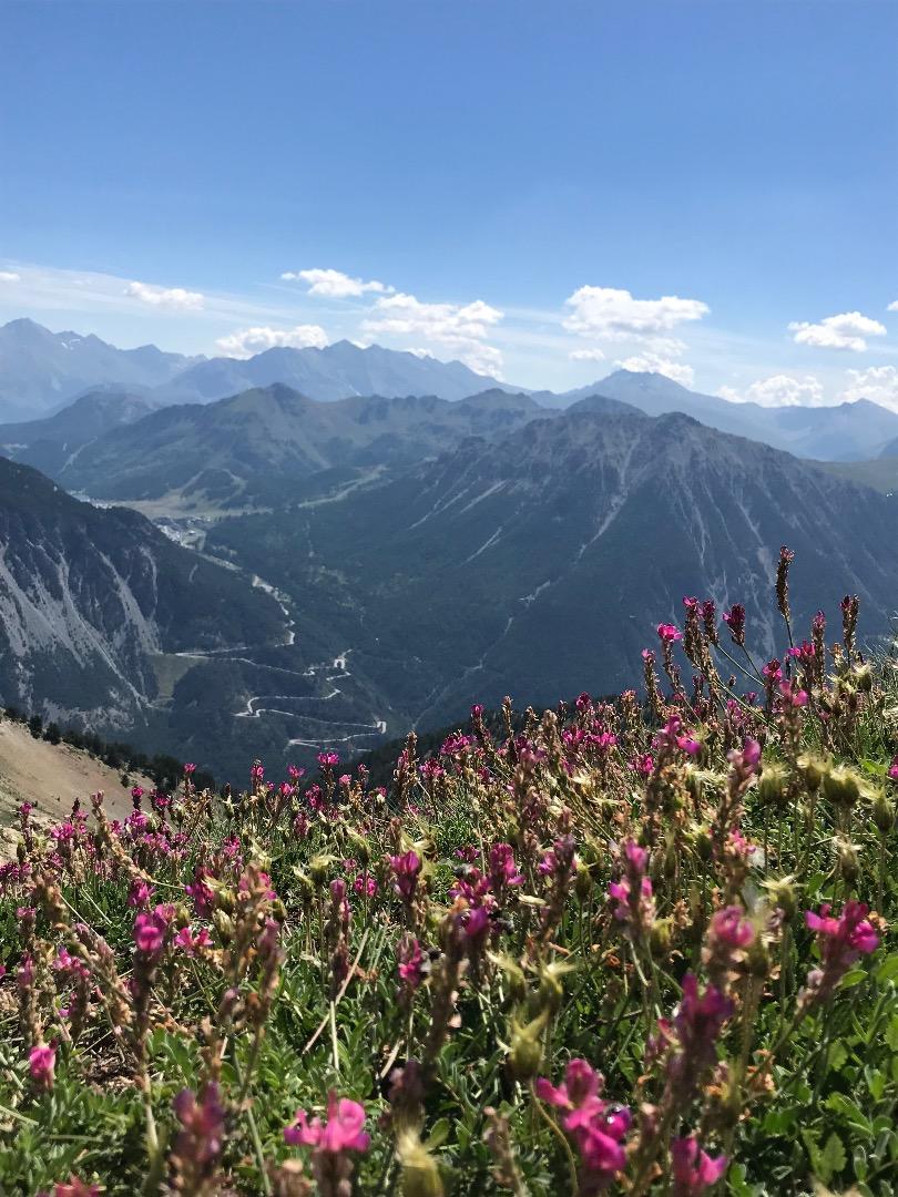 Jardin Alpin du Lautaret