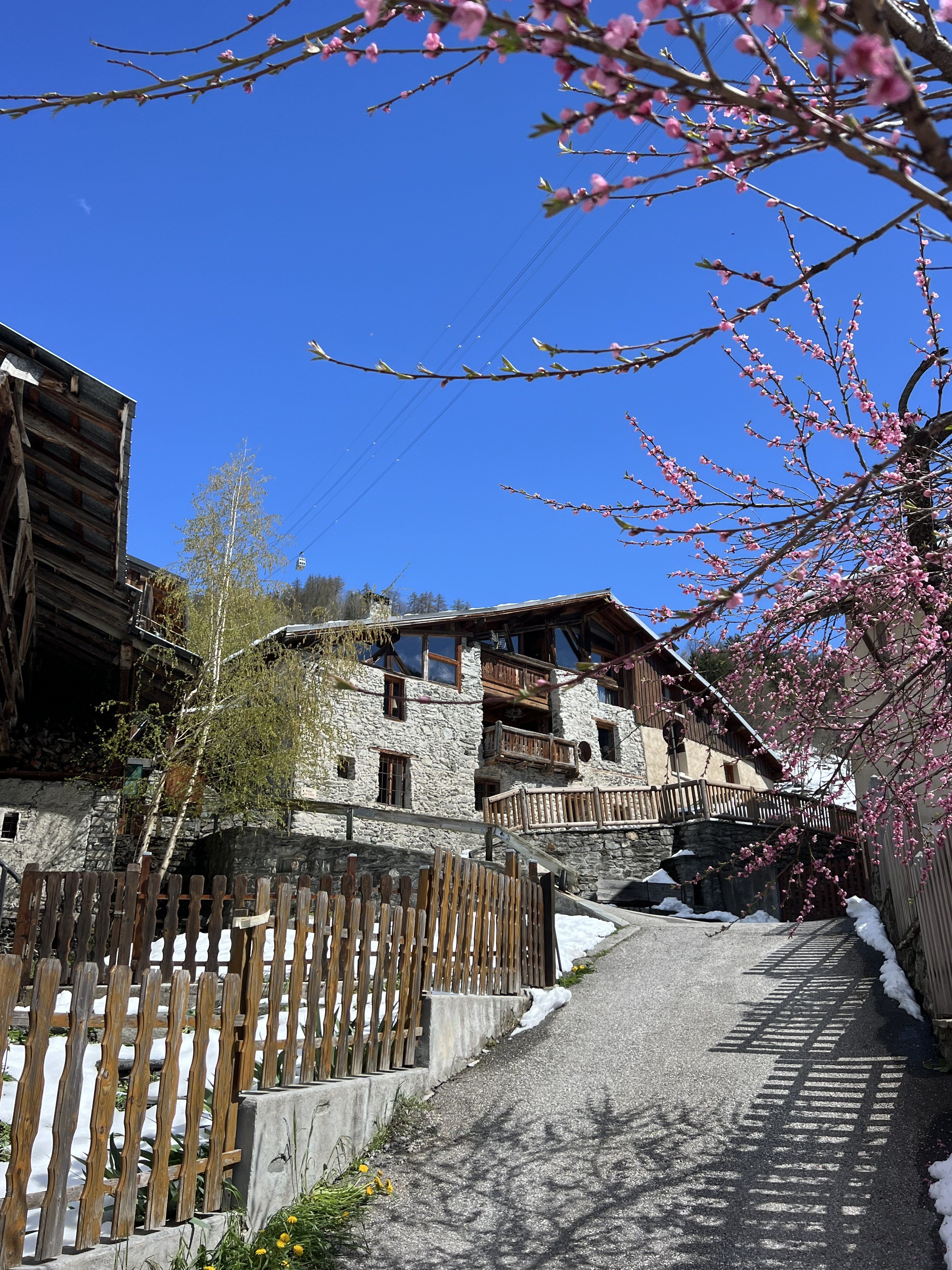  MARMOTTES luxe,10 à 12 pers, le villaret peisey nancroix paradiski, spa intérieur et sauna