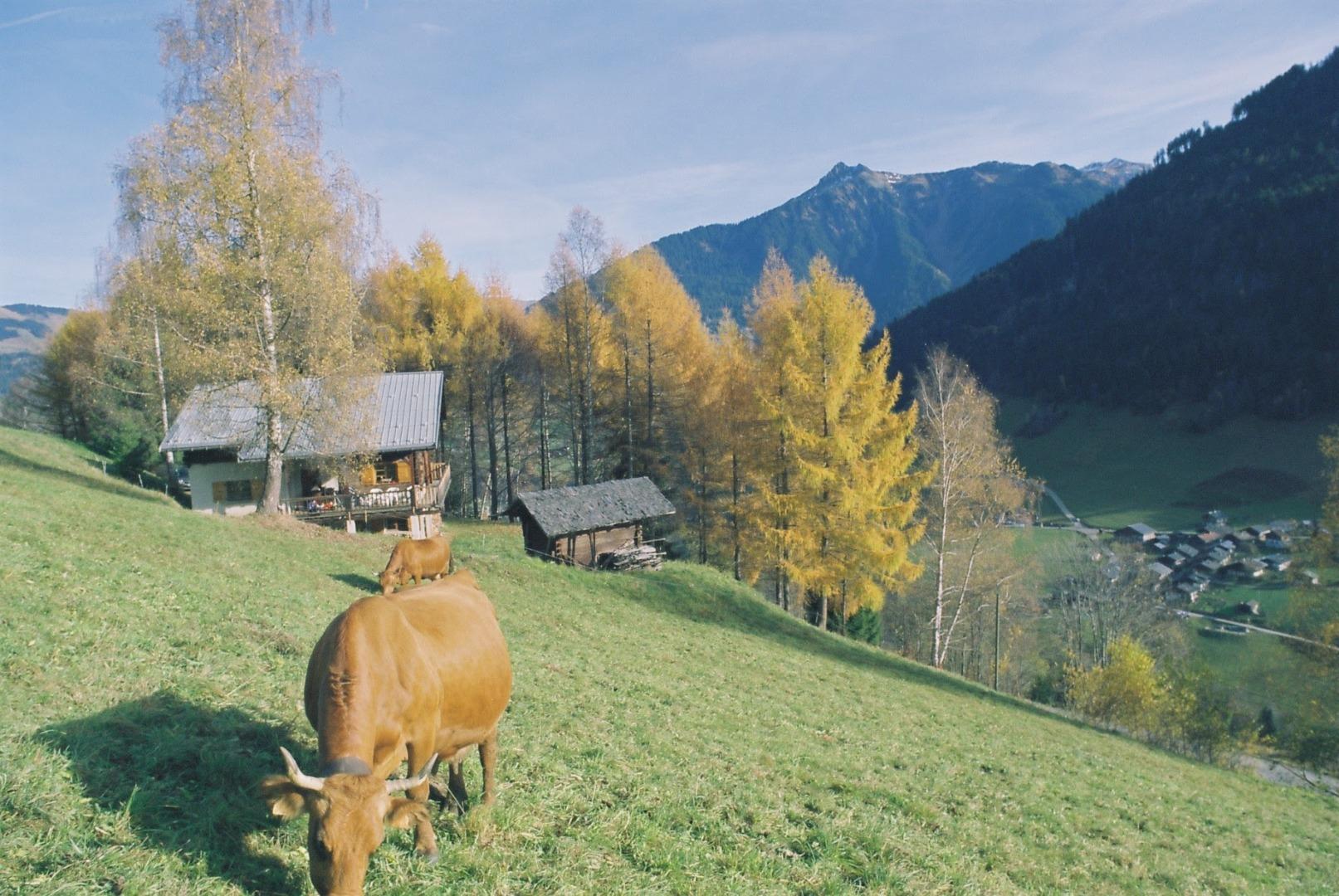 le Grand Chalet