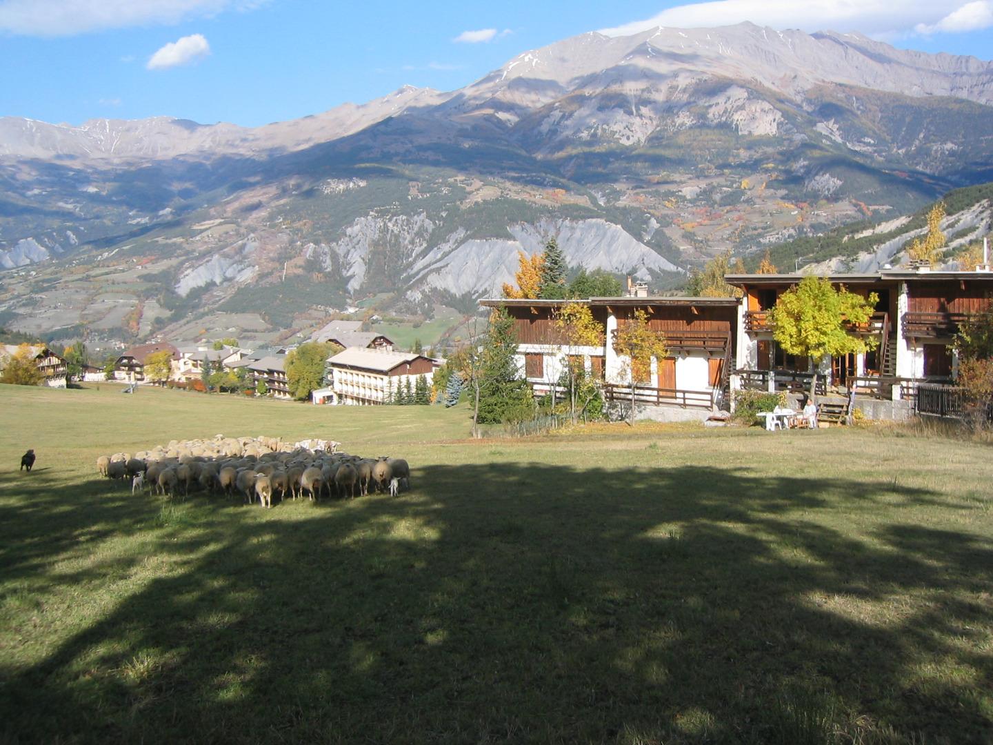 [FULL/8 pers] sur les pistes, terrasse exposée Sud