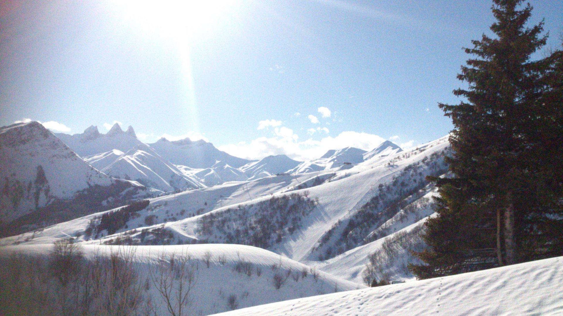 chalet l'ours brun