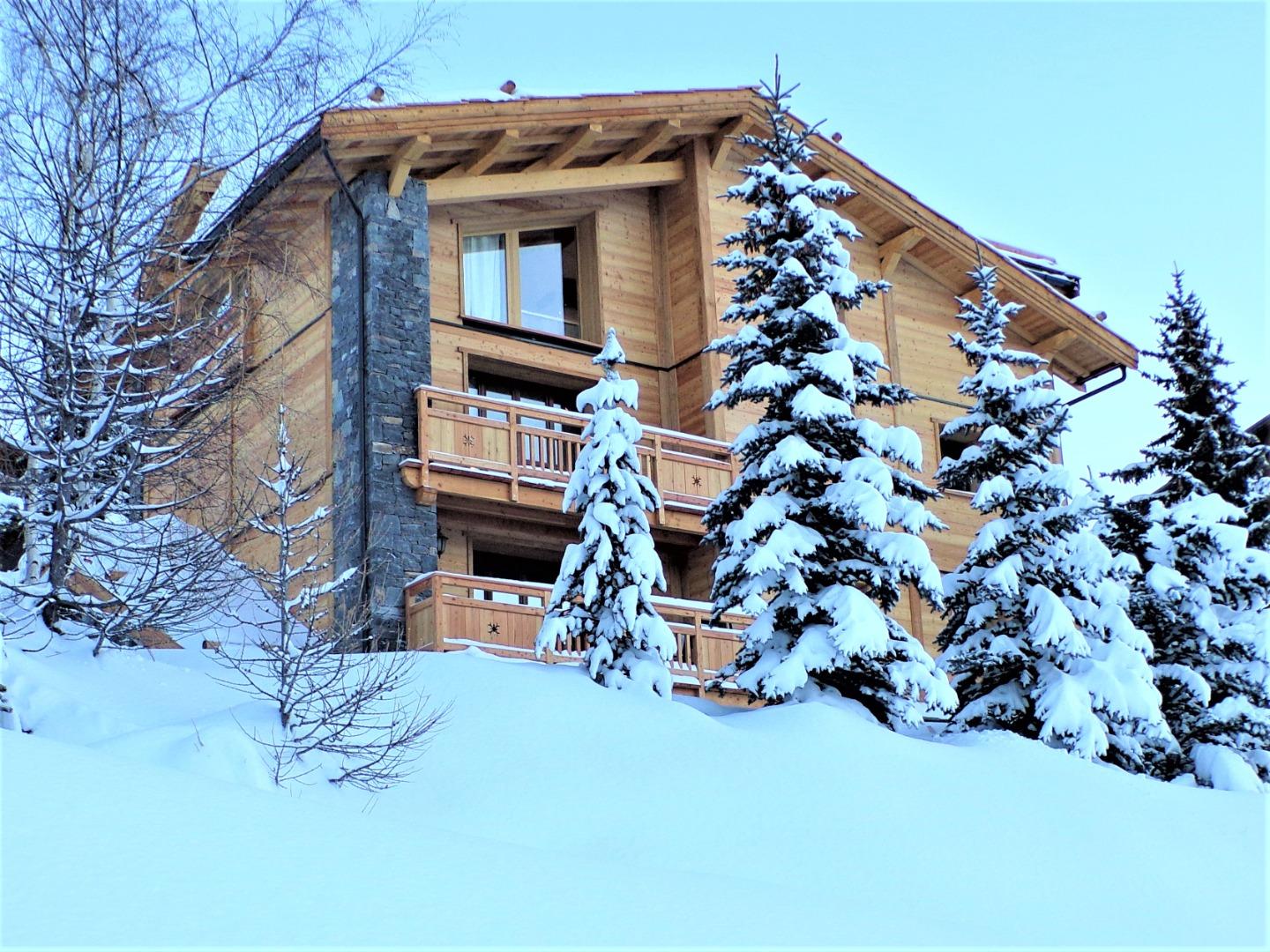 CHALET 18 PERSONNES RETOUR SKI AU PIED PISCINE JACUZZI BILLARD SALLE CINEMA VUE PISTES ET MONTAGNE 