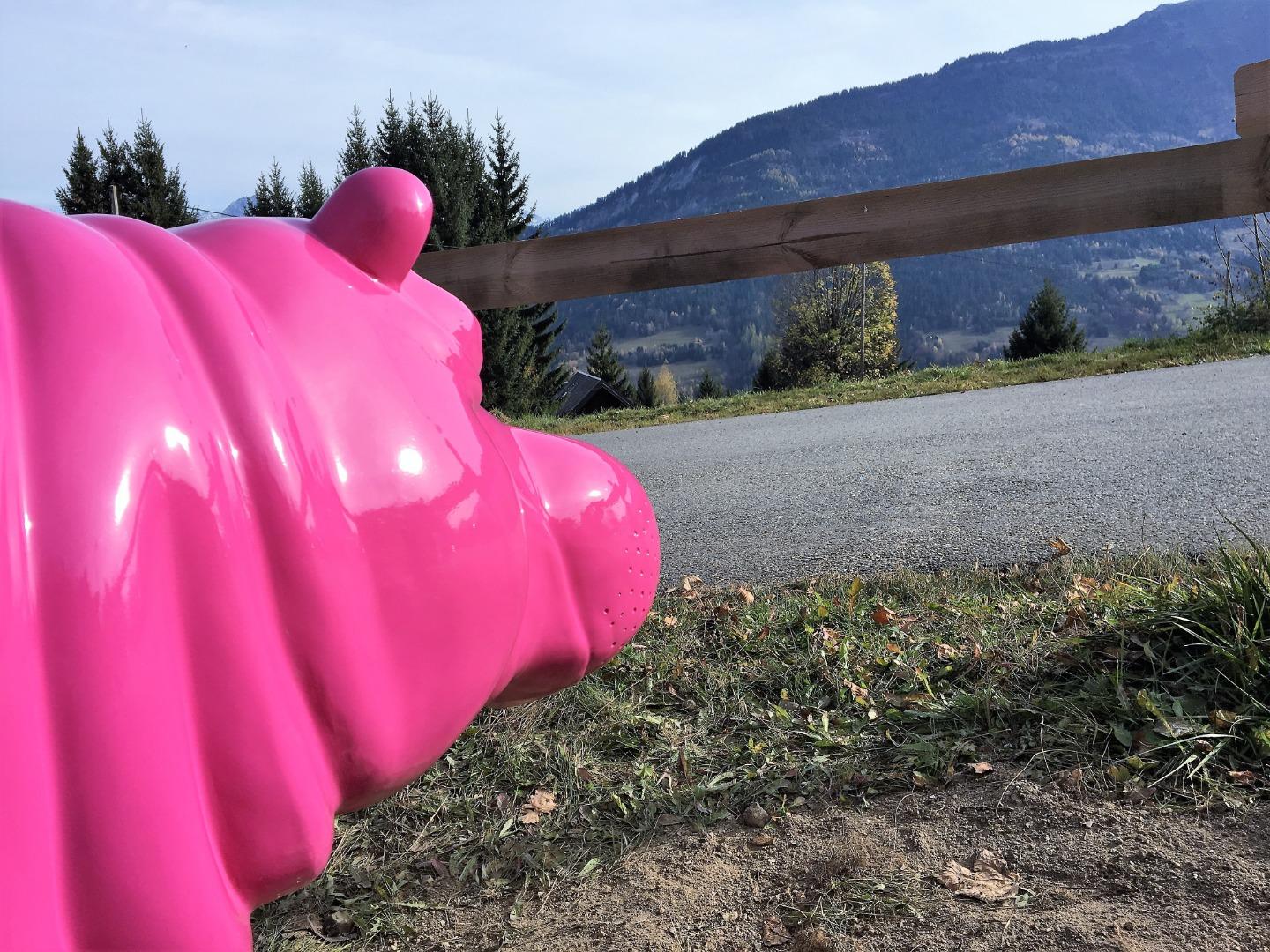 chalet de luxe aux pieds des pistes de ski