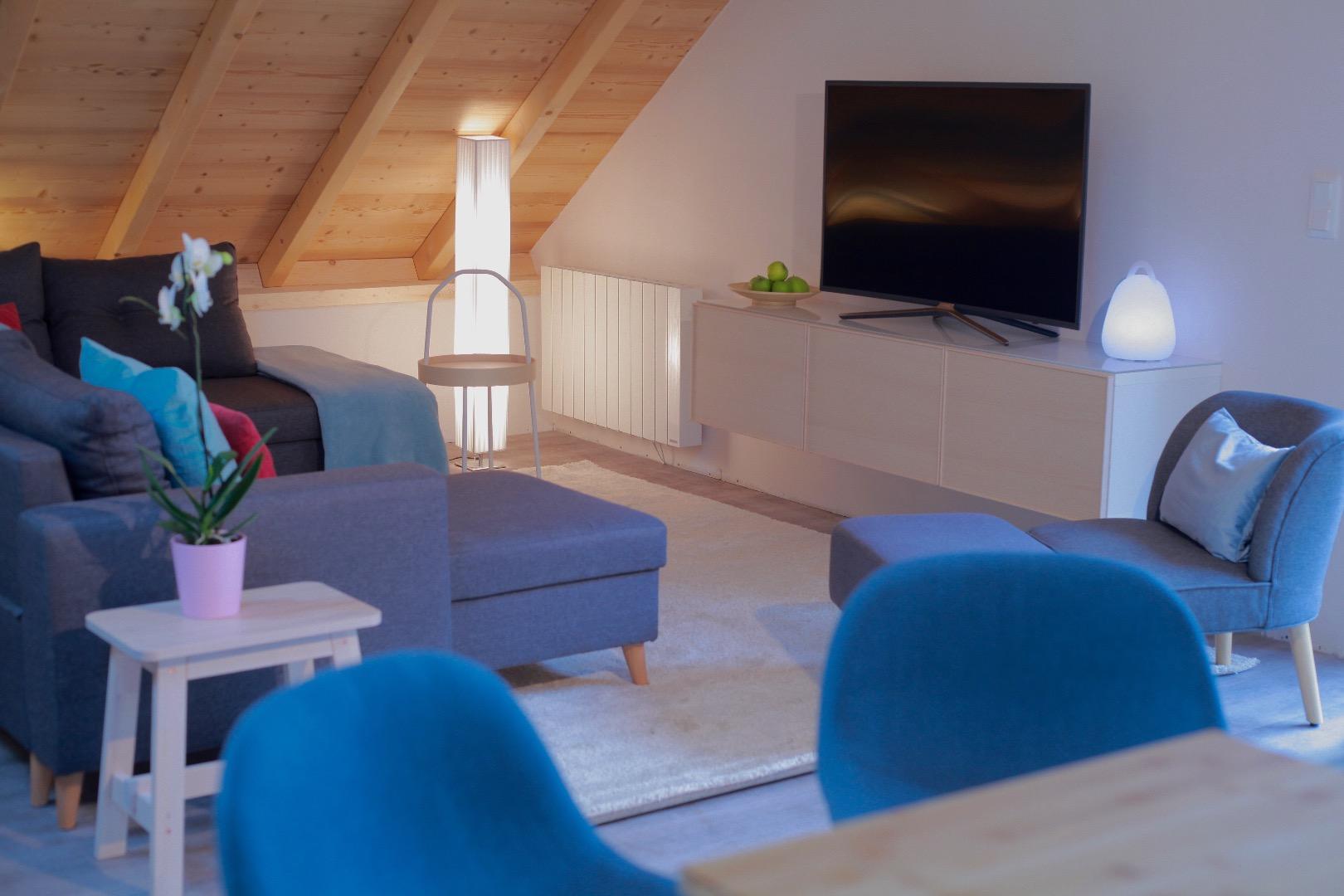 VENOSC-LES 2 ALPES-LE 1618 BILLARD SAUNA