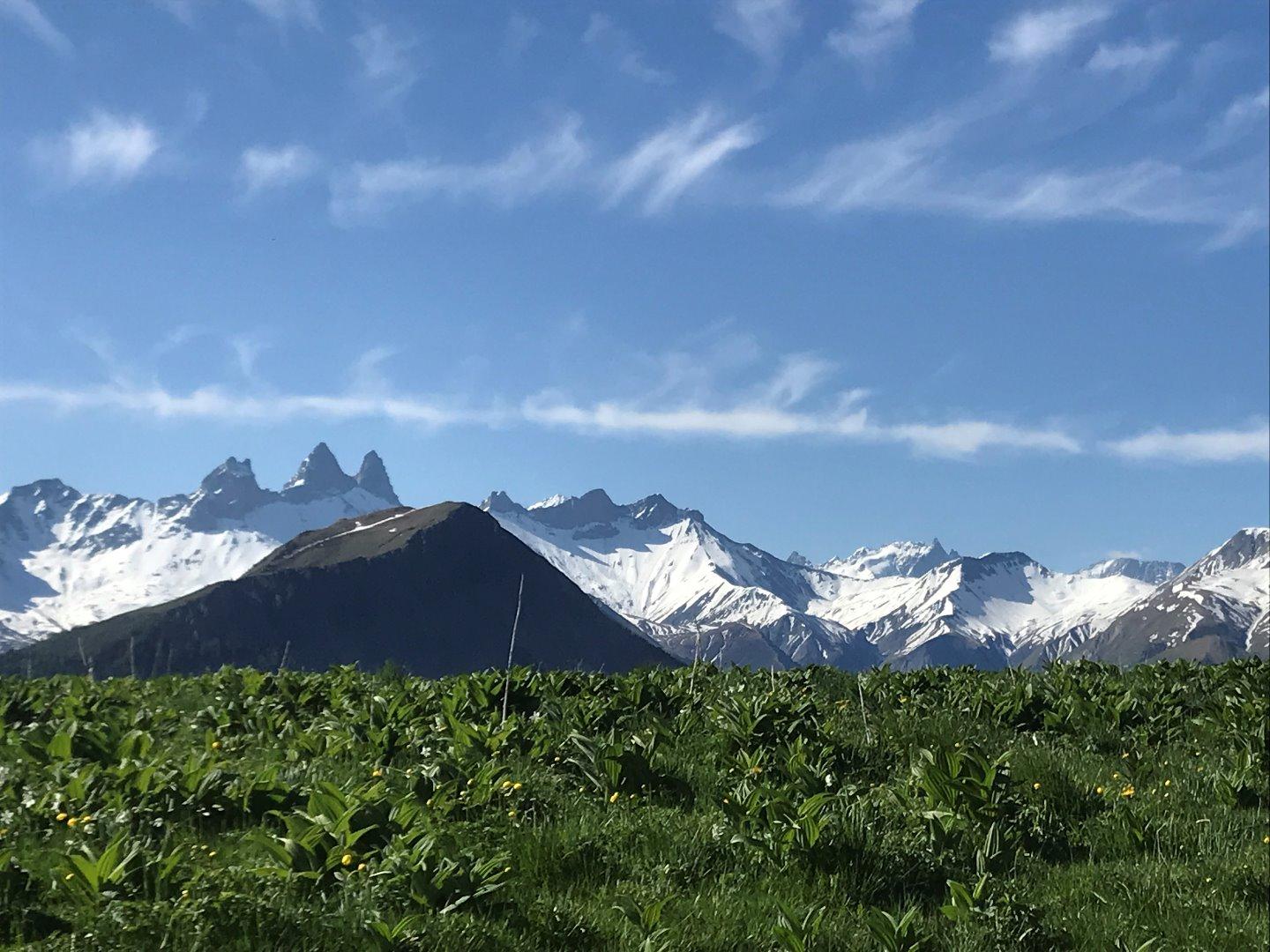 Appartement au RDC d'un chalet, vue panoramique LOC toutes saisons 