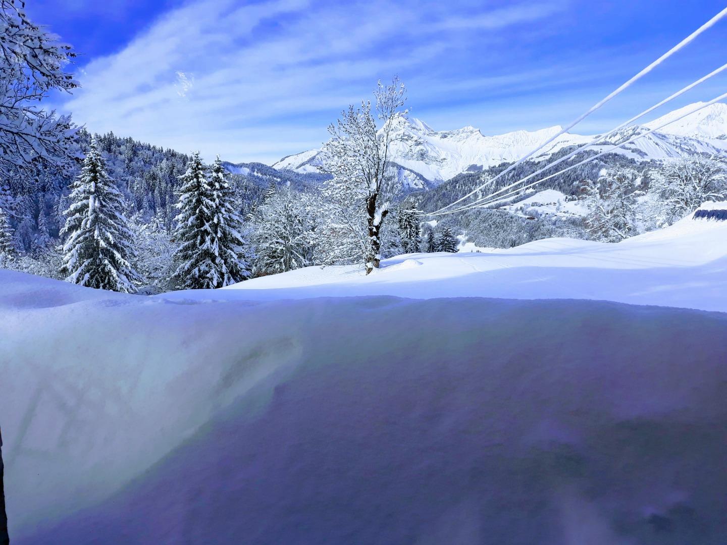 Chalet Imagine
