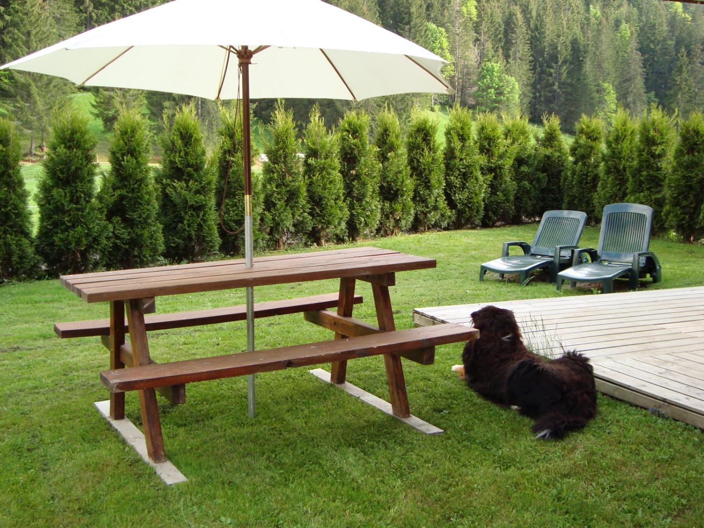 ESPACE JARDIN ABRITE ET GRANDE TERRASSE
