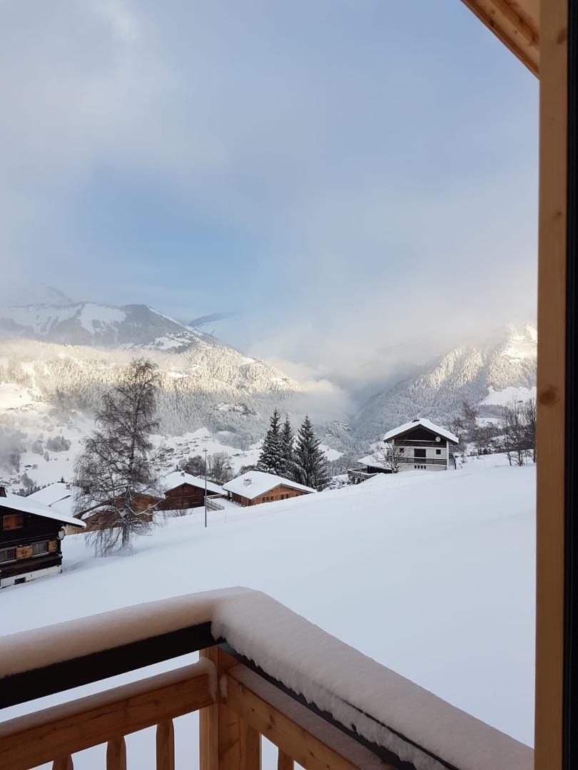 Chalet de charme en entier, ski au pied, été-hiver