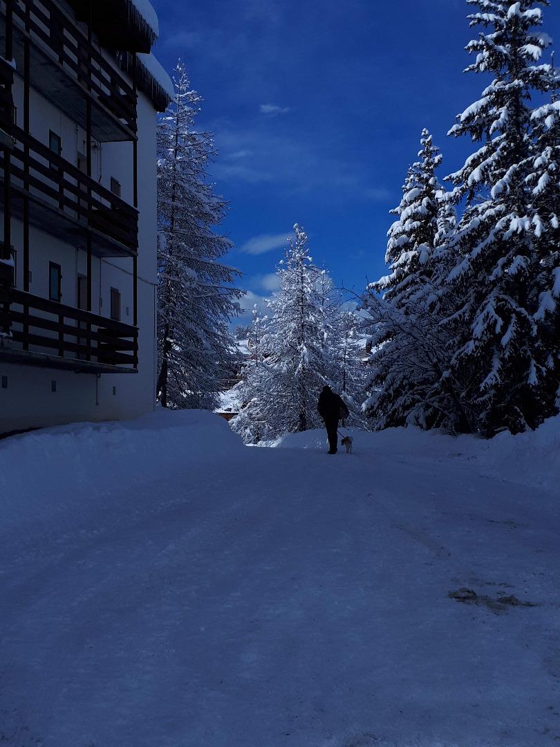 charmant T3 meublé au Super Sauze (1700 m) 