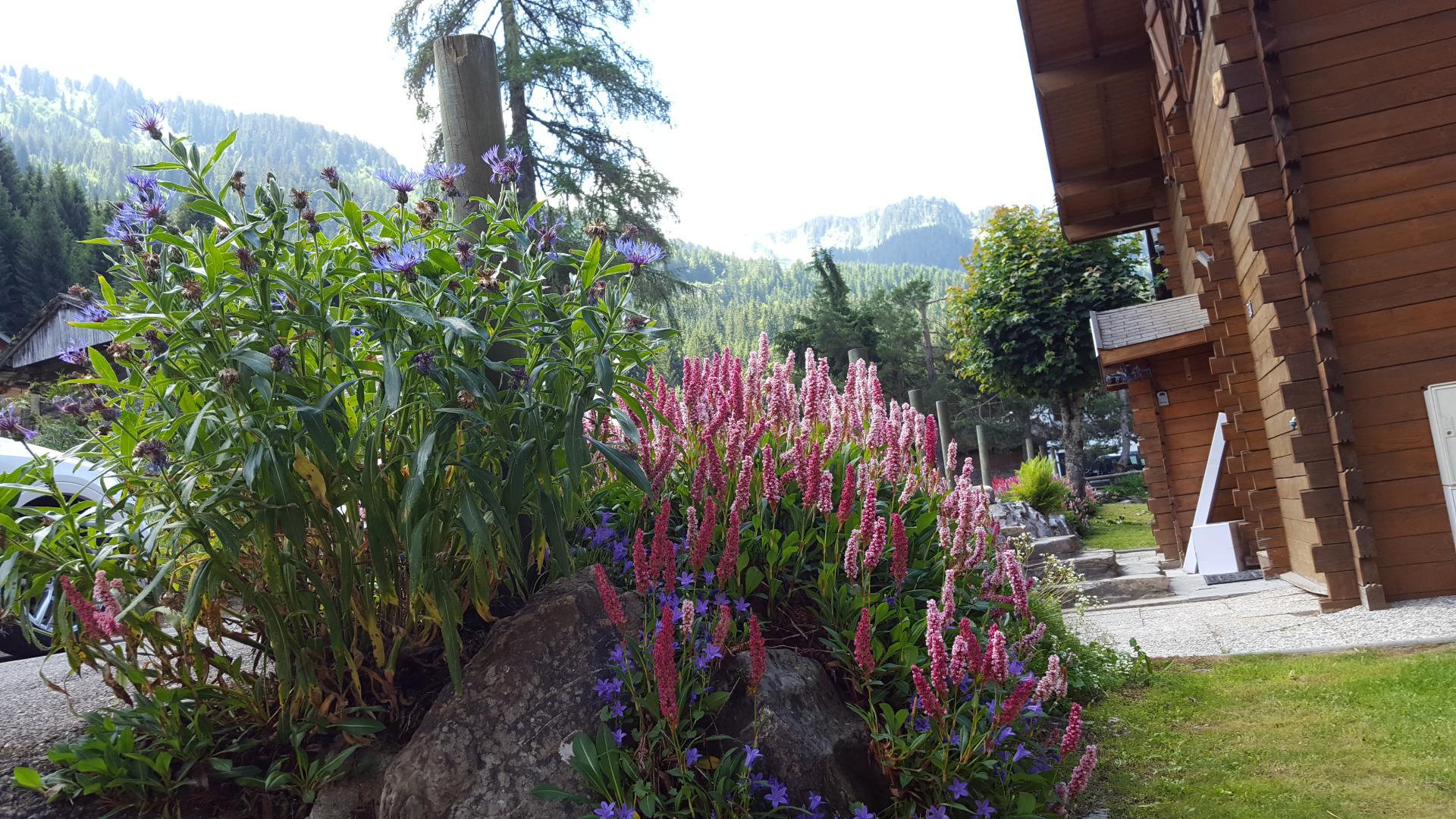 Chalet louveteaux 5 chamb.  **offre  juin****