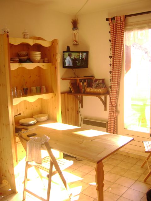 SKIS AUX PIEDS  - 4 PERSONNES -               VALLEE  BLANCHE N°1