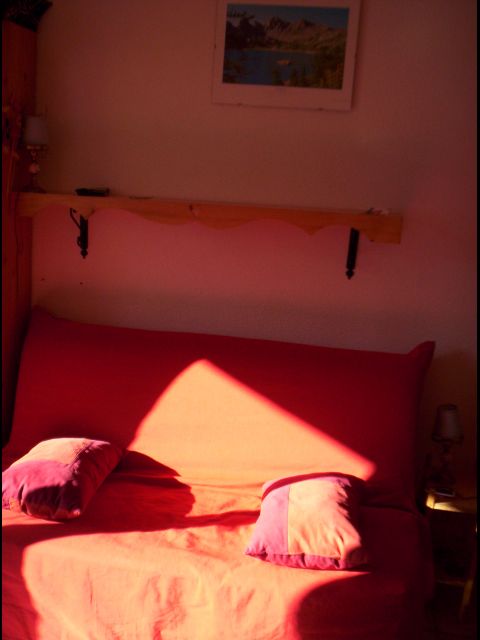 SKIS AUX PIEDS  - 4 PERSONNES -               VALLEE  BLANCHE N°1