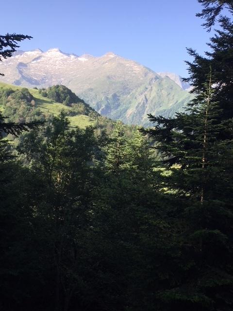 chalet vue sur  montagne 