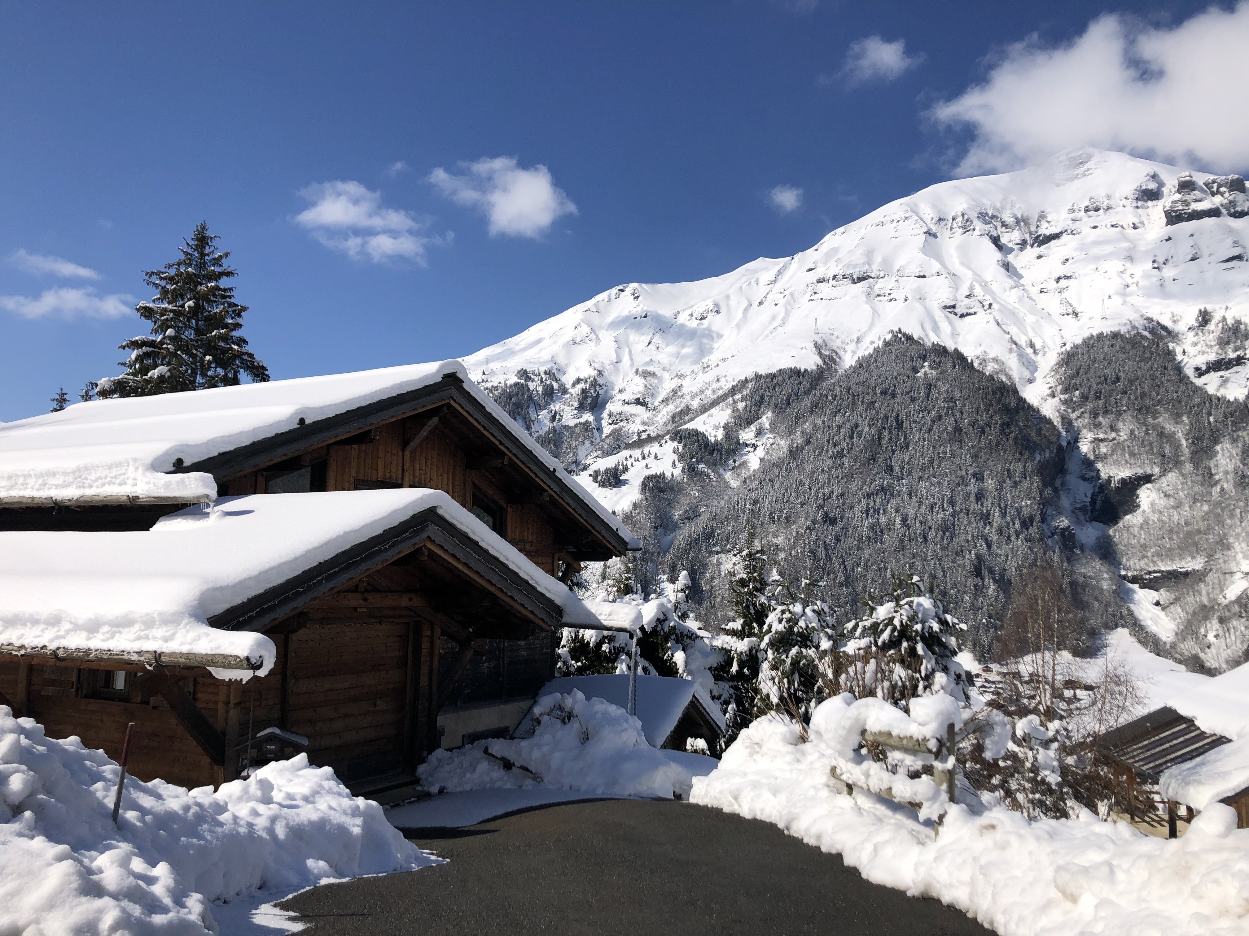 Superbe Chalet 4* -  5 Chambres - au pied du Mont-Blanc  avec Sauna - Jardin