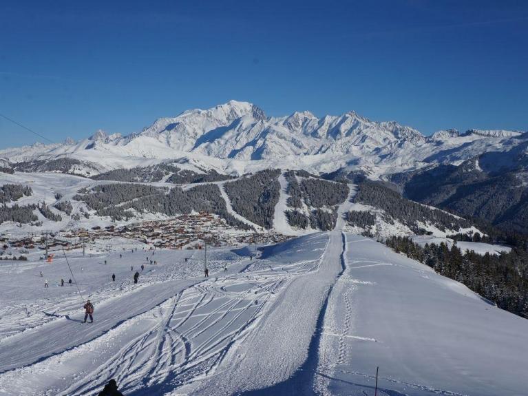 Jardin Alpin