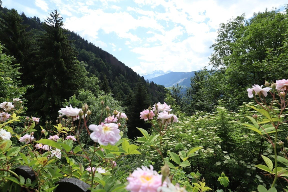 Les Saisies à 15 min. Beau chalet rénové pour 10 à 12 personnes.