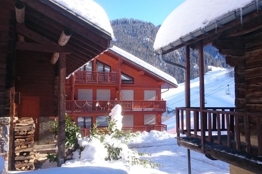 Appartement de 3 à 4 pers. skis aux pieds l'hiver