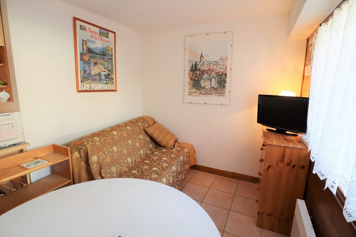 Appartement de 3 à 4 pers. skis aux pieds l'hiver