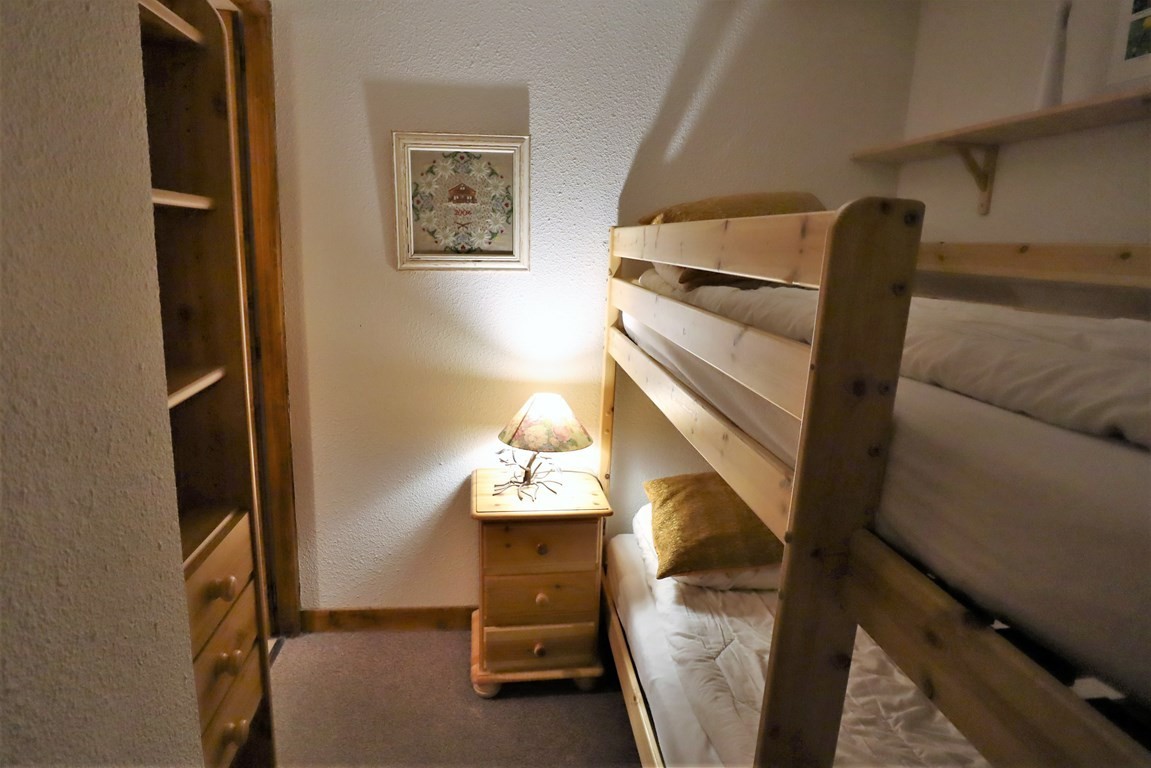 Appartement de 3 à 4 pers. skis aux pieds l'hiver
