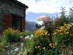 AMEDEELYS: SKI ,RANDO EN VANOISE