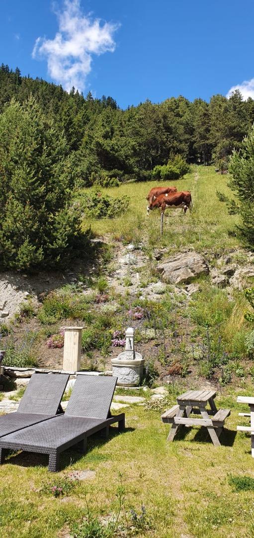 Chalet isolé Pré Sec
