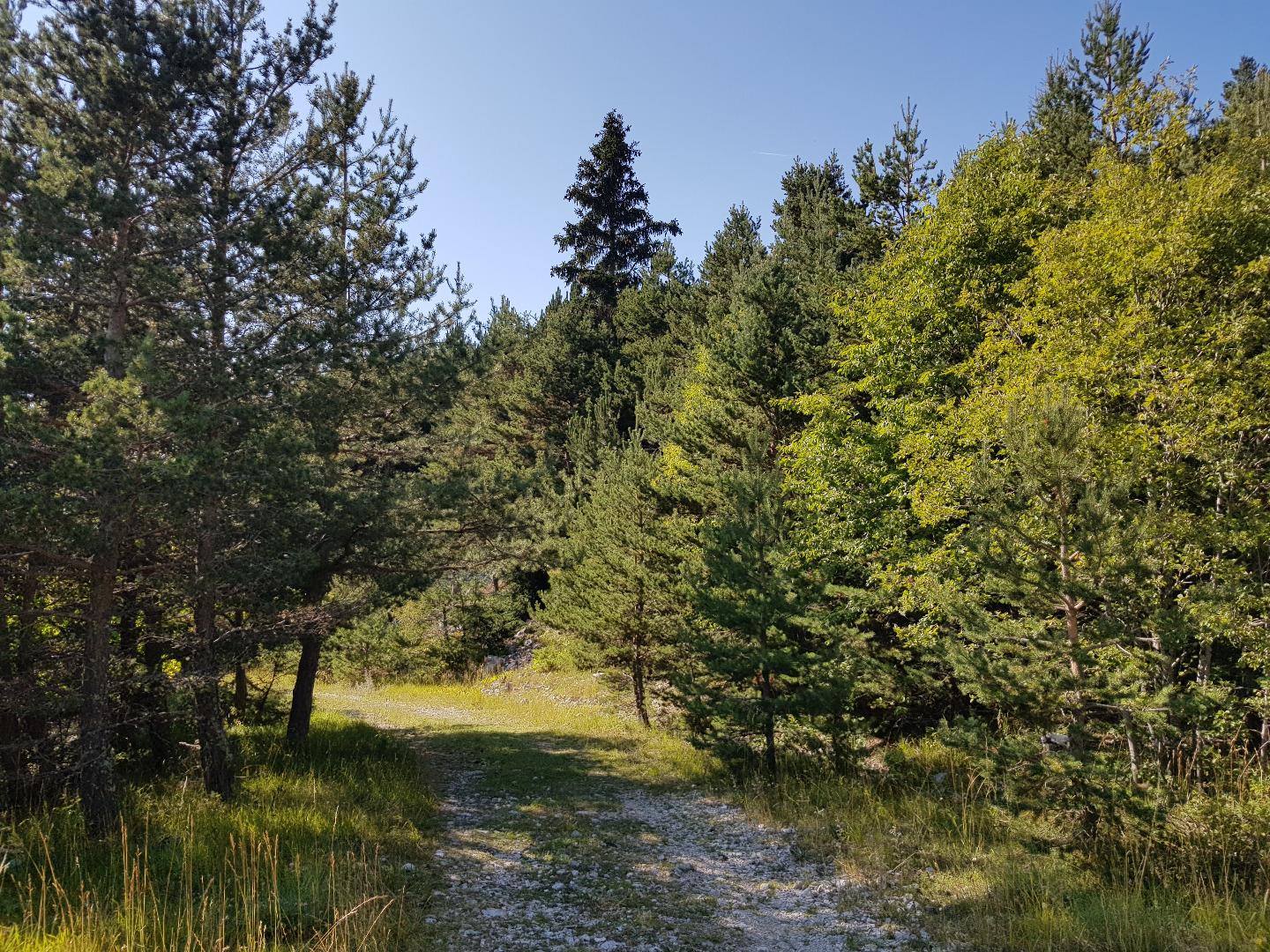 Chalet céline