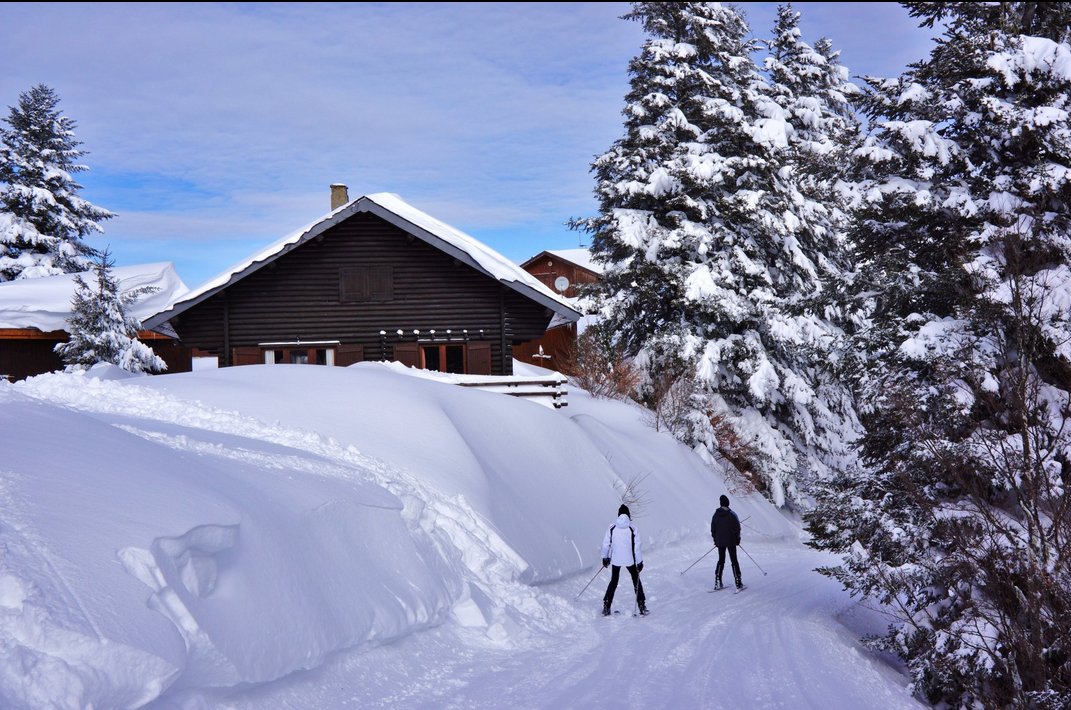 "Les Rondins" 4 chambres, WIFI Gratuit, Balnéo, Hammam, pied de pistes